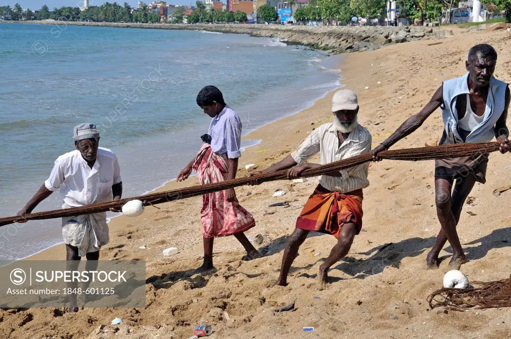 Fishermen pulling in a net on a beach in Galle, Sri Lanka, Ceylon, South Asia, Asia