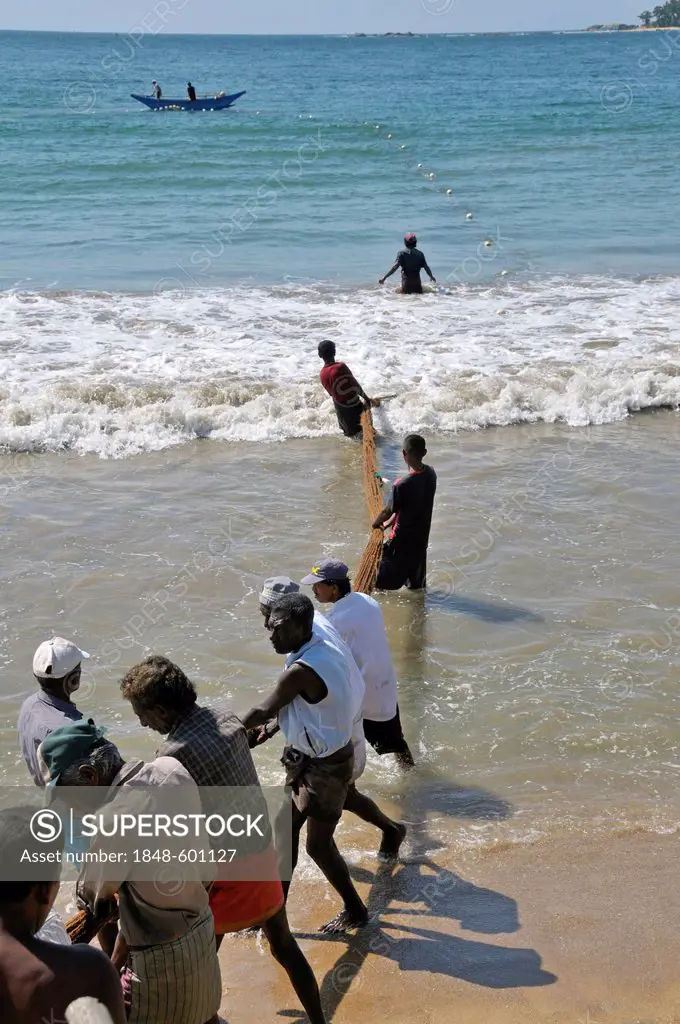 Fishermen pulling in a net on a beach in Galle, Sri Lanka, Ceylon, South Asia, Asia