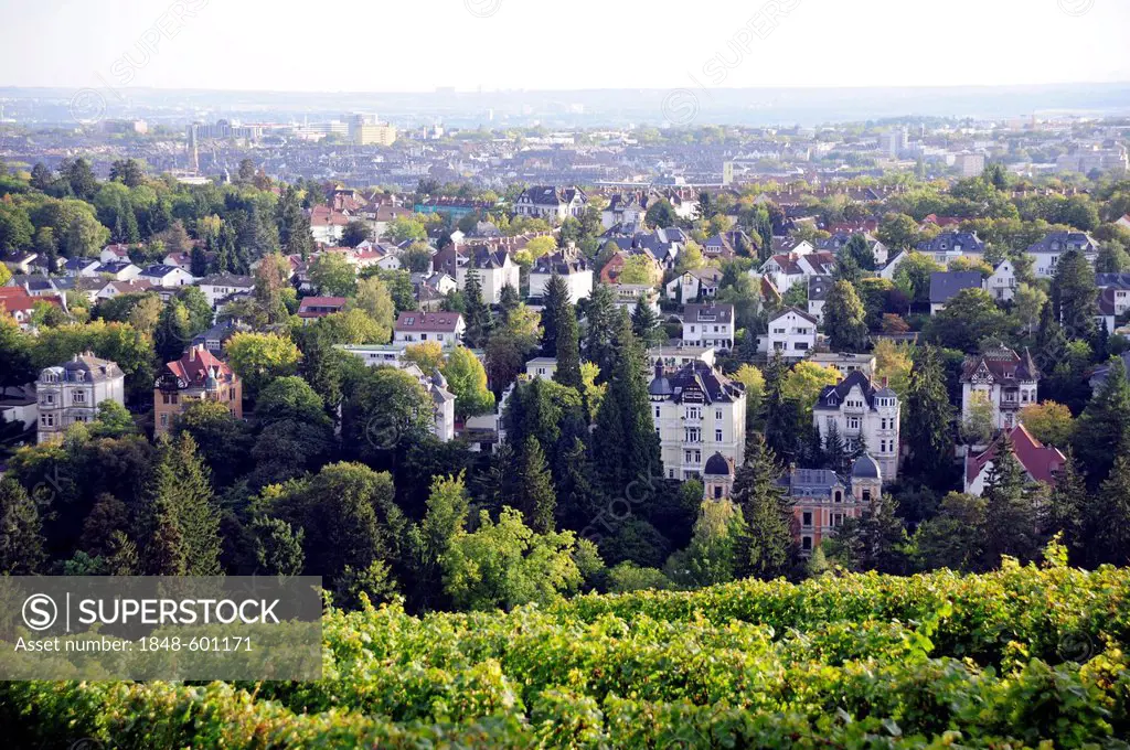 View from the Neroberg hill towards an exclusive villa quarter, Wiesbaden, capital of Hesse, Germany, Europe