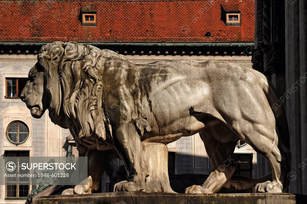 Lion sculpture, sculptor William of Ruemann, 1906, Field Marshals' Hall, behind the Munich Residenz palace, Odeonsplatz, Munich, Bavaria, Germany, Eur...