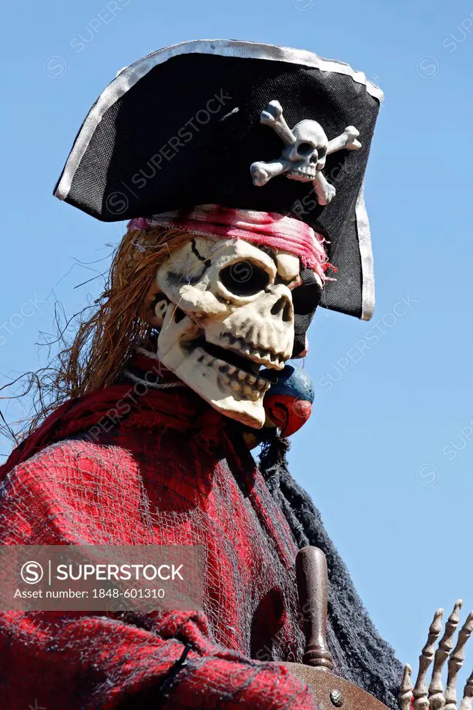 Skeleton with a skull dressed as a pirate, paper-mache figure, parade float at the Rosenmontagszug Carnival Parade 2011, Duesseldorf, North Rhine-West...
