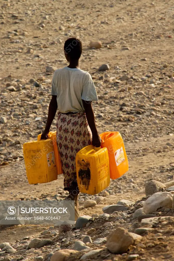 Afar woman carrying water jugs, Afar village of Hamed Ale, Danakil Depression, Ethiopia, Africa