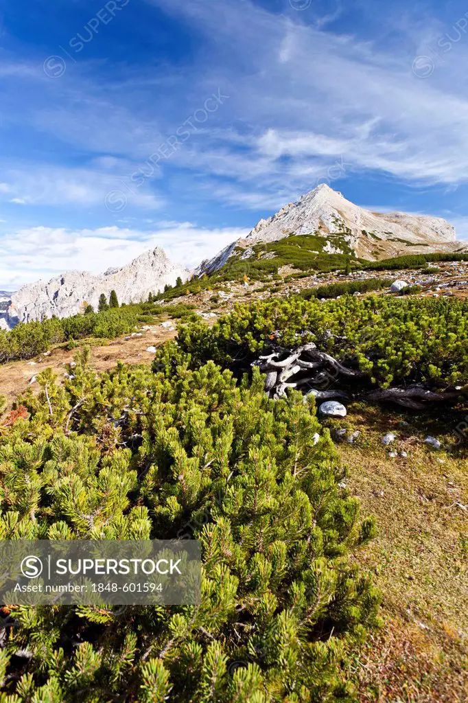 Col Bechei Mountain, Hochpustertal Valley near Pederue, Fanes-Sennes-Prags Nature Park, Dolomites, Alto Adige, Italy, Europe