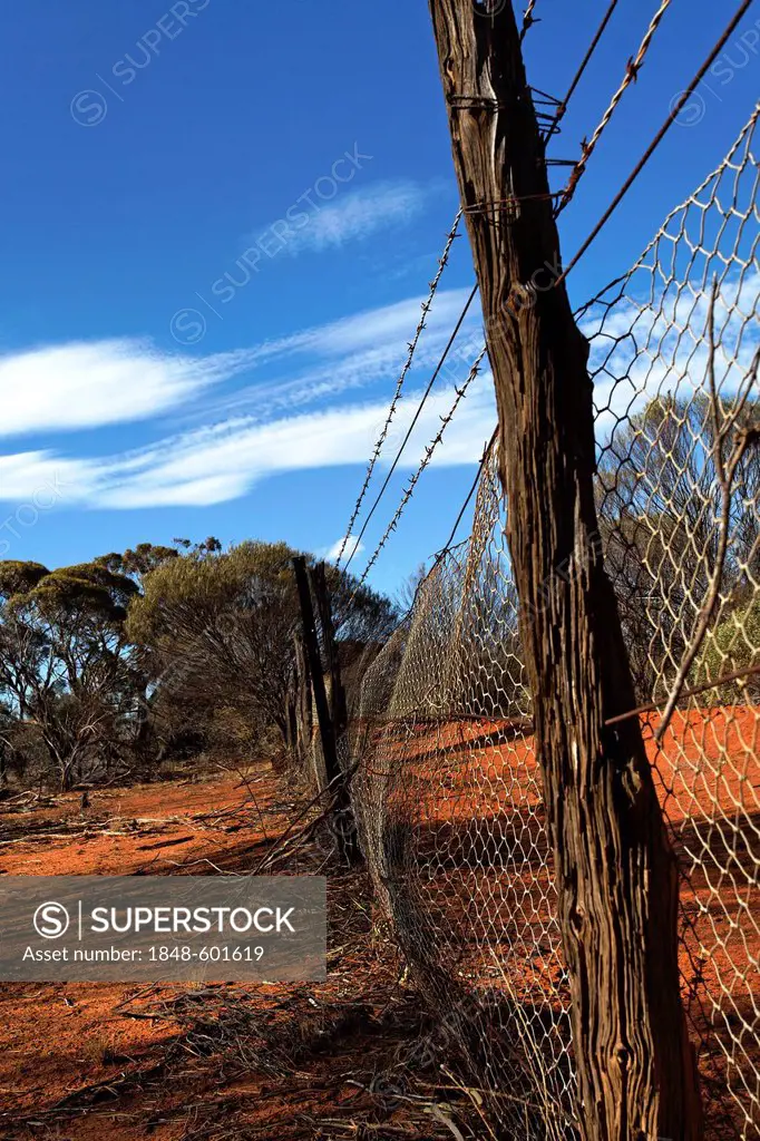 Rabbit-proof fence, Western Australia, Australia