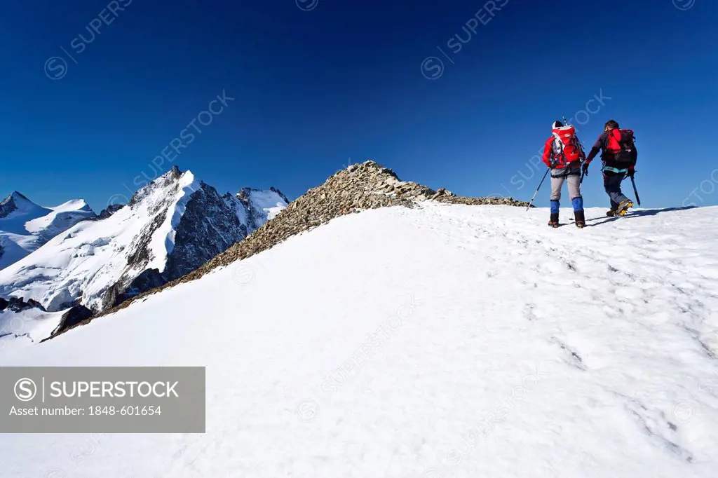 Ascent to Piz Morteratsch Mountain in front of the Bianco Ridge and Piz Bernina Mountain, Bernina Range, Grisons, Switzerland, Europe