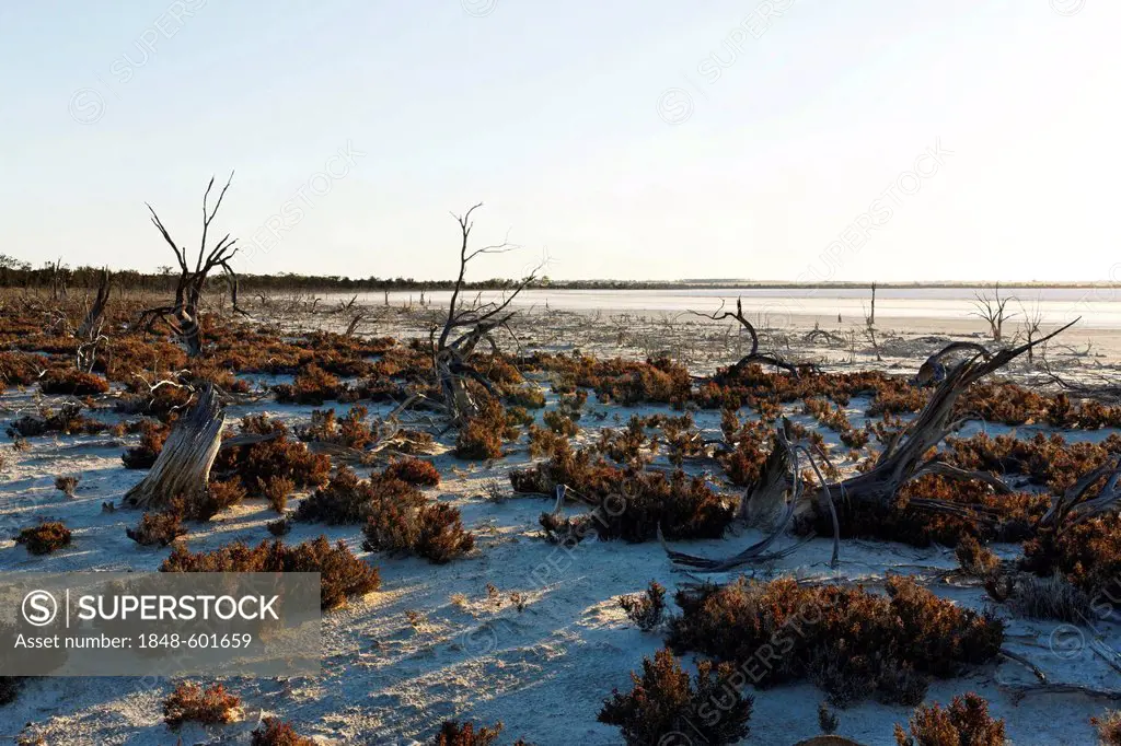 Lake Ninan salt lake, Victoria Plains, Western Australia, Australia
