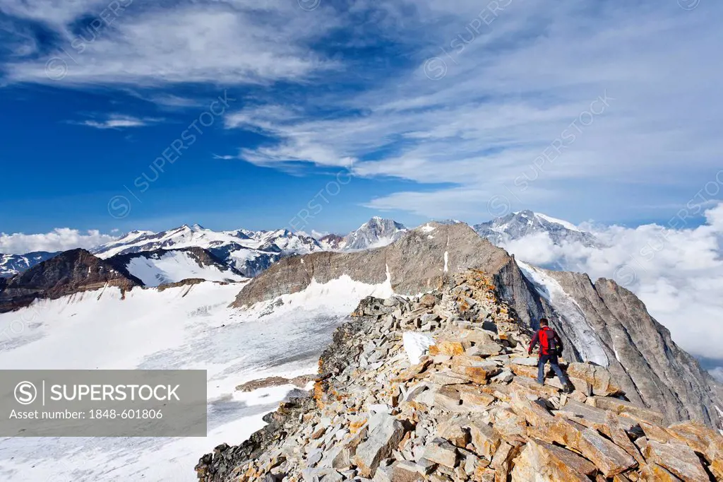 Descending from Hohe Angelus mountain, Ortler mountain, Monte Zebru and Vertainspitze mountain at the back, Ortler Alps, province of Bolzano-Bozen, It...