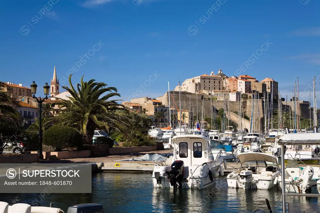 Calvi harbour, Corsica, mediterranean sea, France, Europe