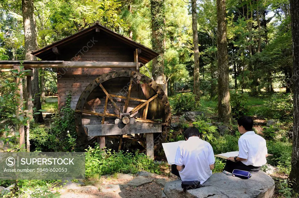 School children drawing plants and a rice mill all day at the Botanical Garden in Kyoto, East Asia, Asia