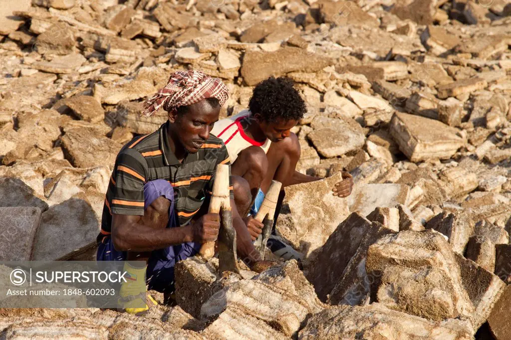 Afar workers at the salt mines of Dallol, Danakil Depression, Ethiopia, Africa