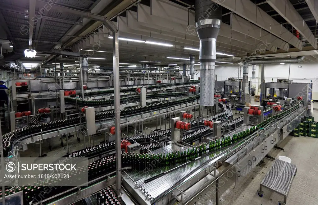 Beer bottles being filled on a conveyor belt, Binding brewery, Frankfurt, Hesse, Germany, Europe
