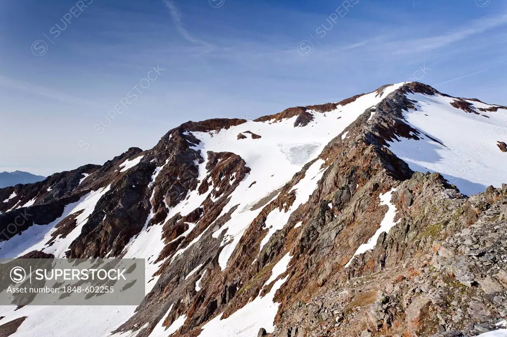 Climbing Hasenohr mountain, Stelvio National Park, province of Bolzano-Bozen, Italy, Europe