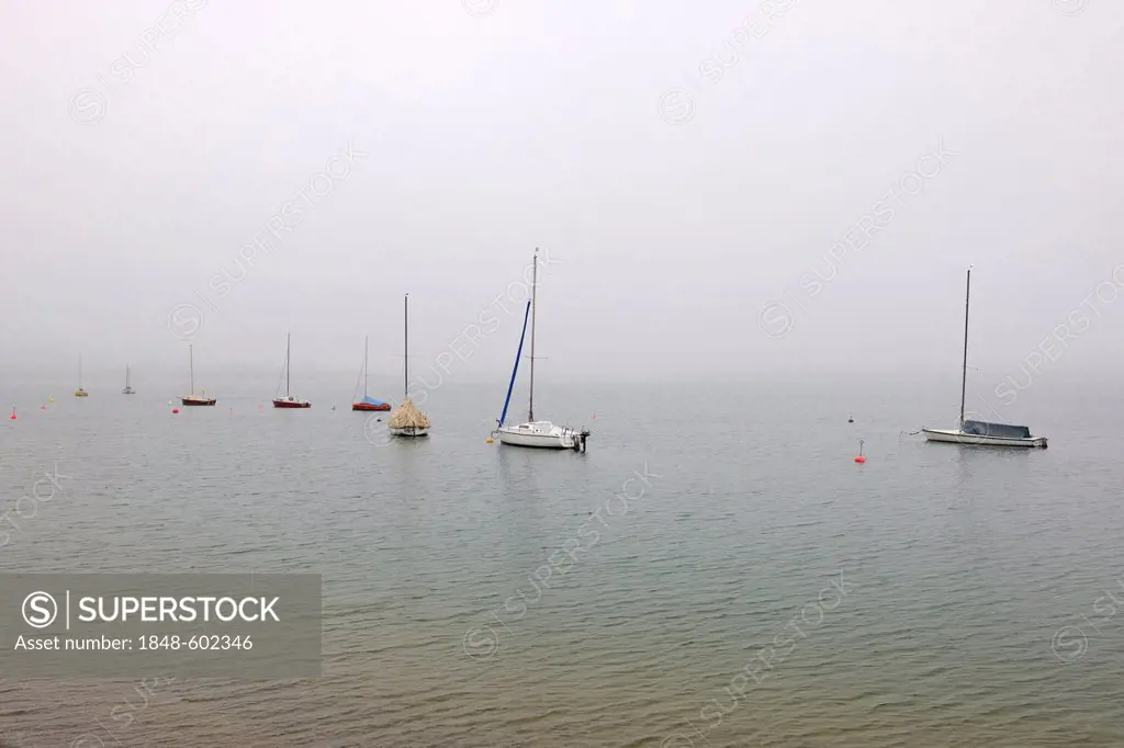 Sailing boats in the fog, Forggensee Lake, near Fuessen, Allgaeu, Bavaria, Germany, Europe