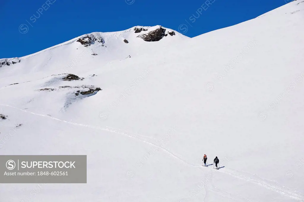Skiers ascending with tour skis, ski tour route in the Tauern Valley, on the way to Hagener Hut near Mallnitz, Hohe Tauern National Park, Alps, Carint...