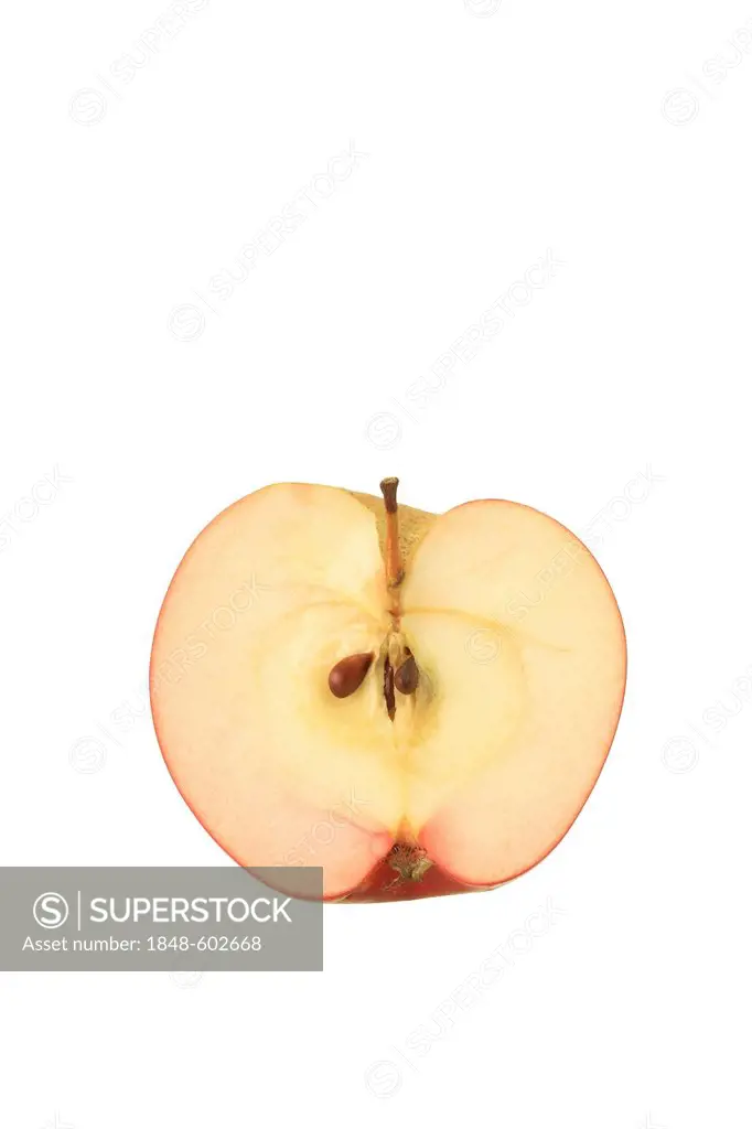Apple (Malus), Berner Rose cultivar, sliced