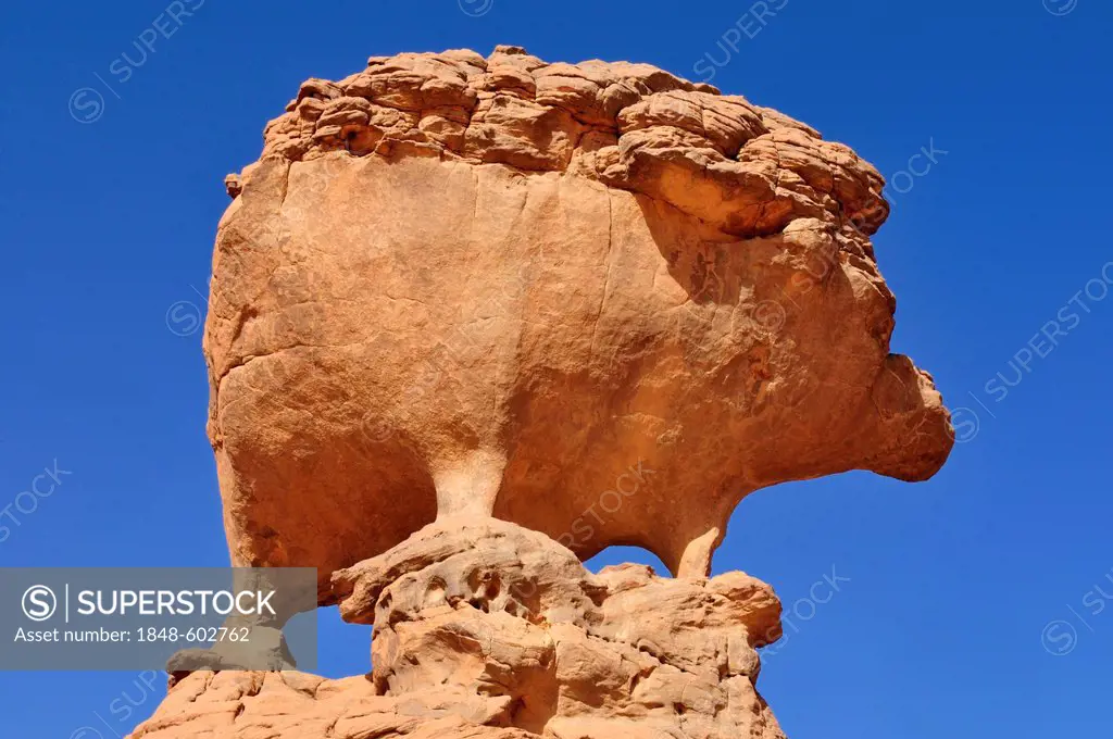 Rock formation in the shape of a hedgehog, Acacus Mountains or Tadrart Acacus range, Tassili n'Ajjer National Park, Unesco World Heritage Site, Algeri...