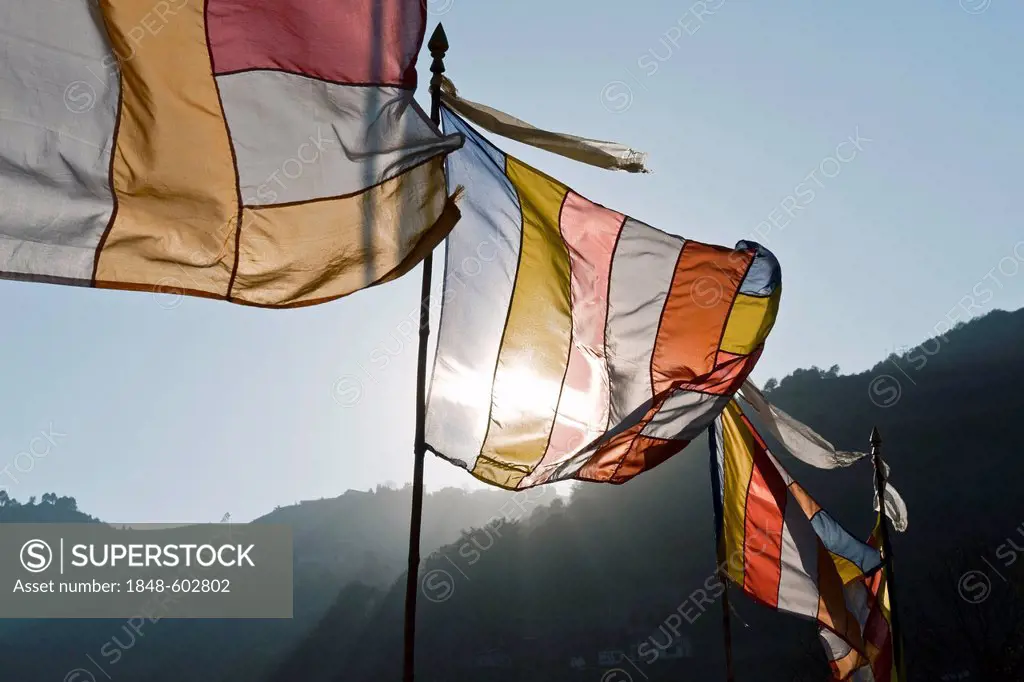 Prayer flags, Tawang Khinmey Nyingma Monastery near Tawang, Arunachal Pradesh, India, Asia