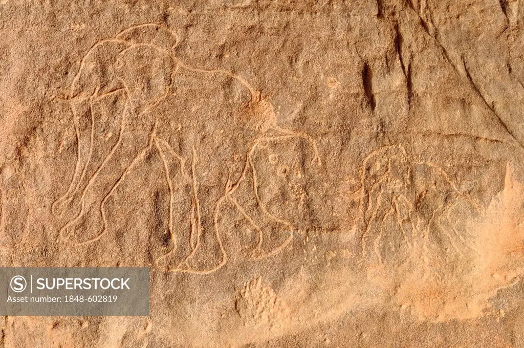 Elephant engraving, neolithic rockart of the Acacus Mountains or Tadrart Acacus range, Tassili n'Ajjer National Park, Unesco World Heritage Site, Alge...
