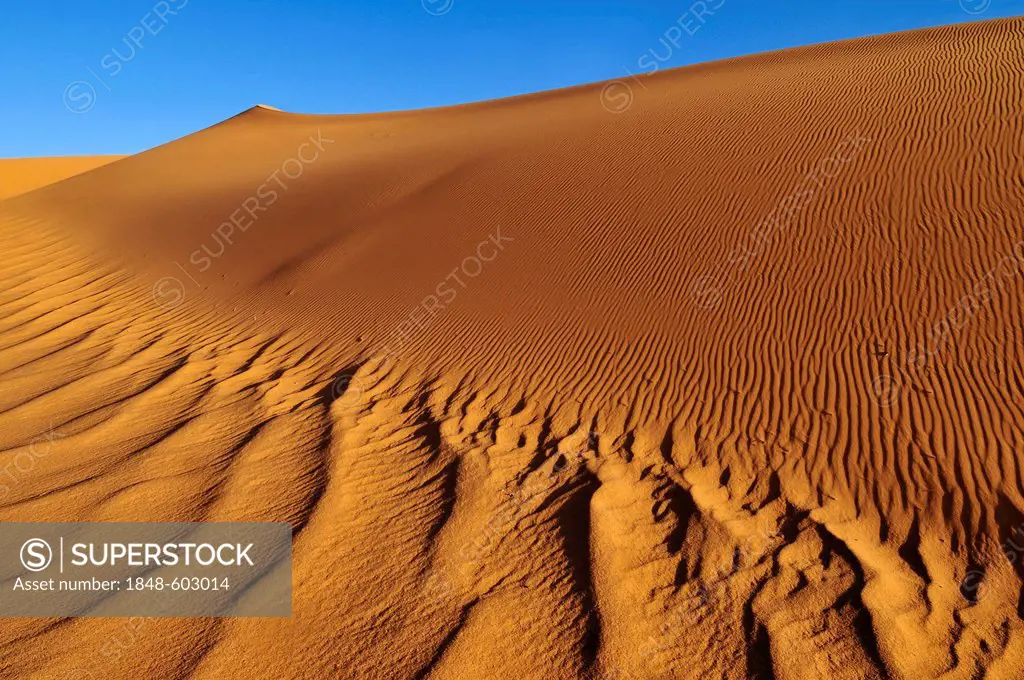 Sand dunes of Moul N'Aga, Tadrart, Tassili n'Ajjer National Park, Unesco World Heritage Site, Algeria, Sahara, North Africa