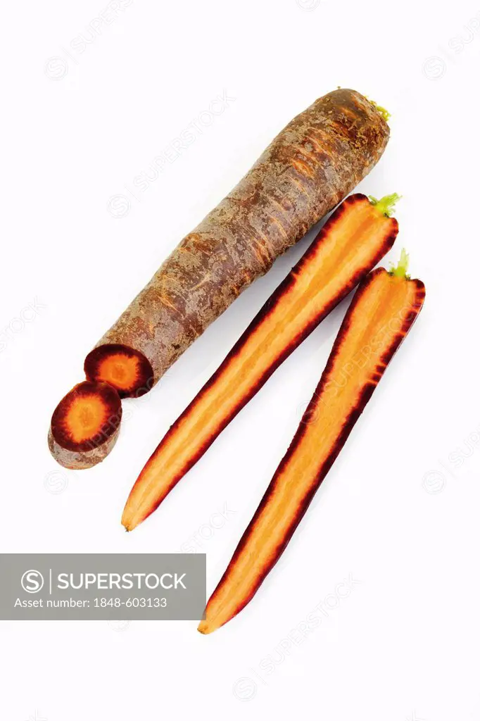 Purple carrots (Daucus carota)