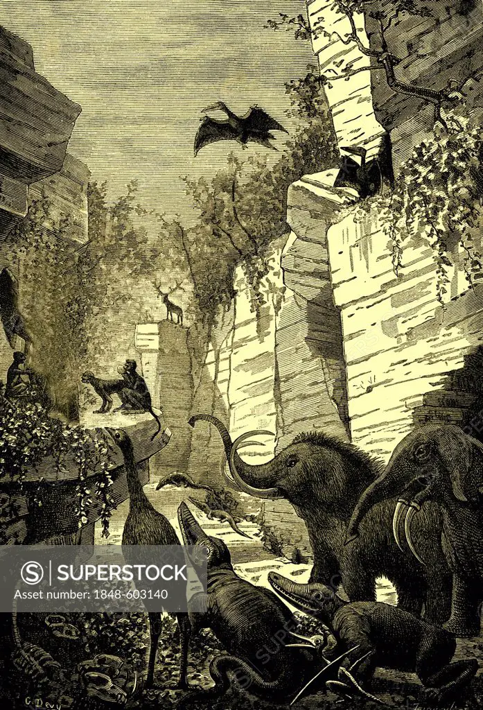 Prehistoric world, historical illustration, 1886