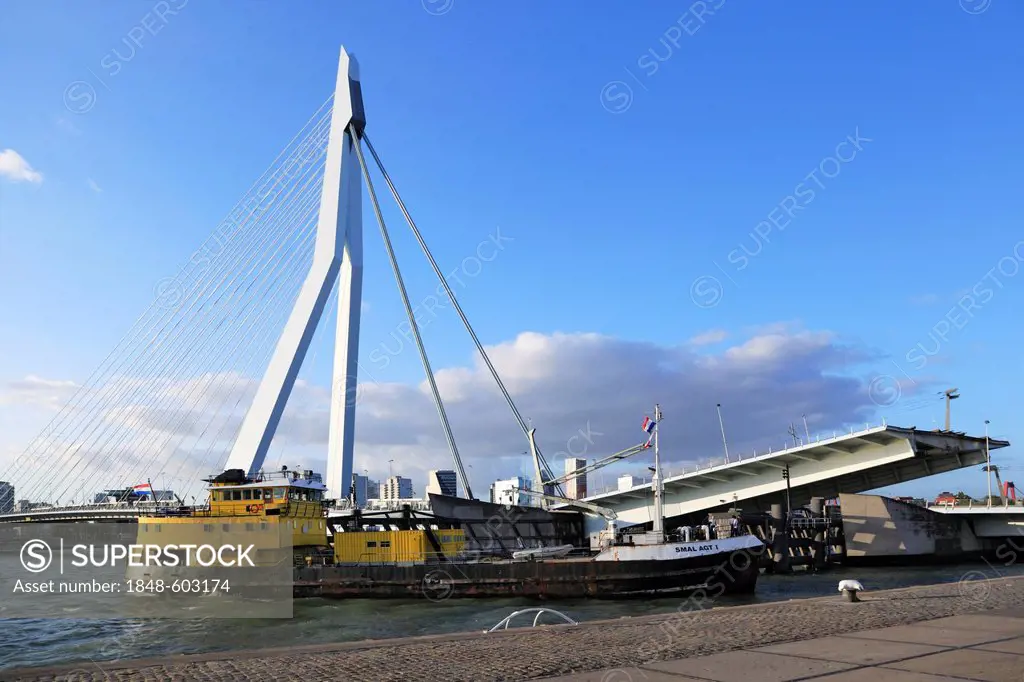 Ship in front of Erasmus Bridge, a cable-stayed bascule bridge, Rotterdam, Holland, Netherlands, Europe