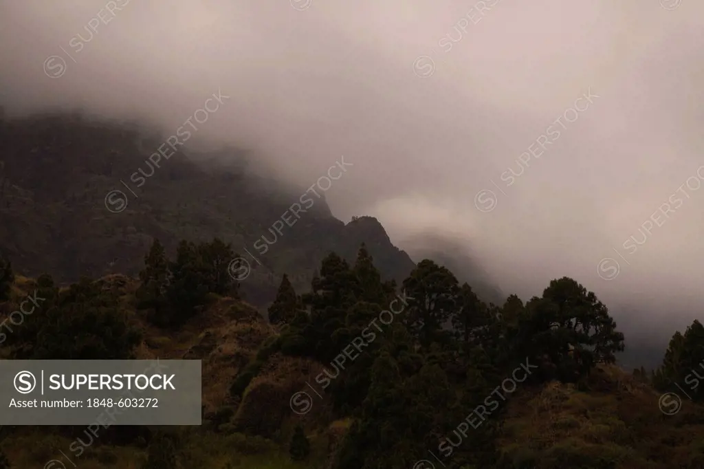 Fog bank in the Barranco de las Angustias canyon, Caldera de Taburiente National Park, La Palma, Canary Islands, Spain, Europe