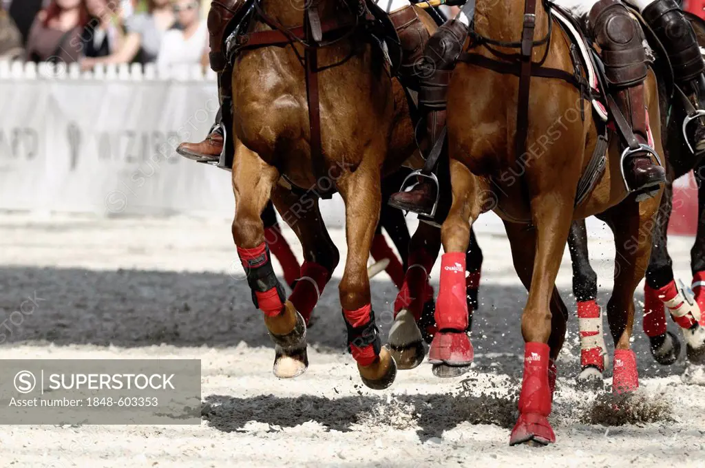 Polo horses galloping through the sand, Airport Arena Polo Event 2010, Munich, Upper Bavaria, Bavaria, Germany, Europe