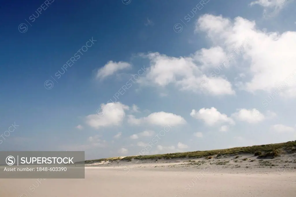 Beach, National Park Duinen van Texel, Texel, North Holland, Netherlands, Europe