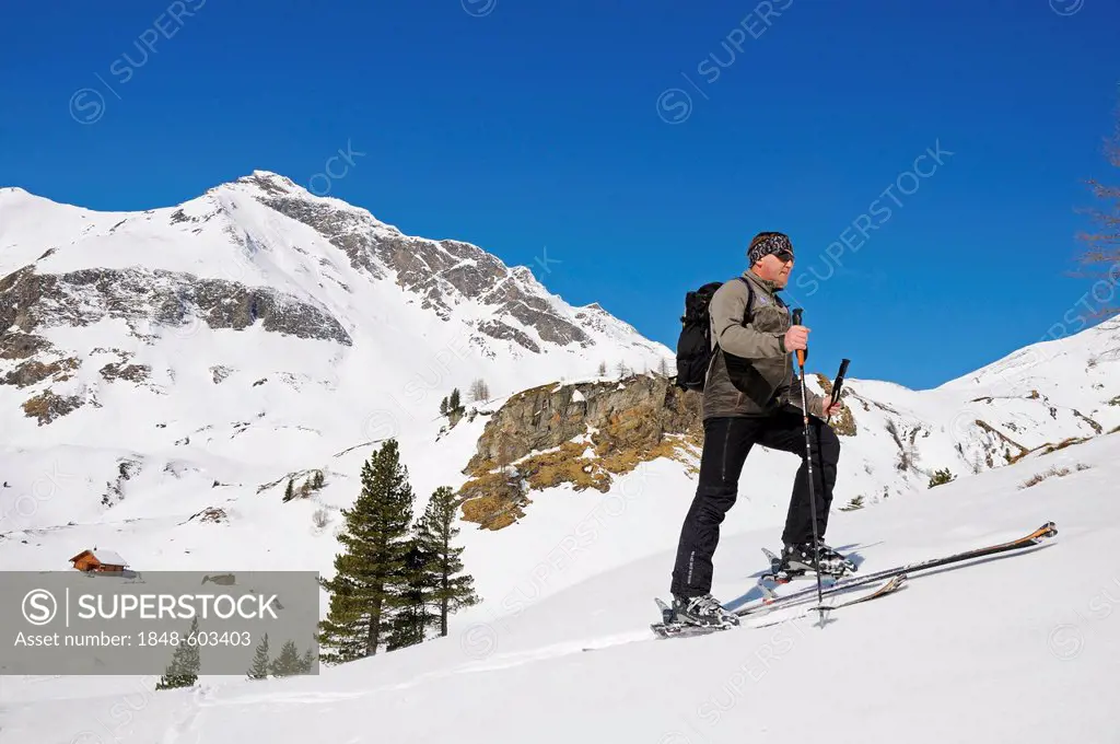 Mountain guide ascending with tour skis, ski tour route in the Tauern Valley, on the way to Hagener Hut near Mallnitz, Hohe Tauern National Park, Alps...