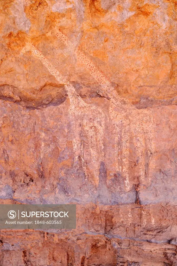 Painted giraffe, neolithic rockart of the Acacus Mountains or Tadrart Acacus range, Tassili n'Ajjer National Park, Unesco World Heritage Site, Algeria...