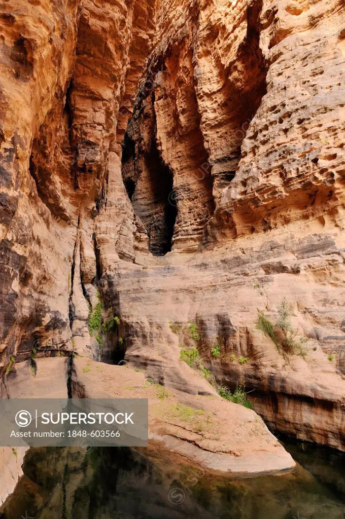 Guelta in the slot canyon of Wadi Essendilene, Tassili n'Ajjer National Park, Unesco World Heritage Site, Wilaya Illizi, Algeria, Sahara, North Africa