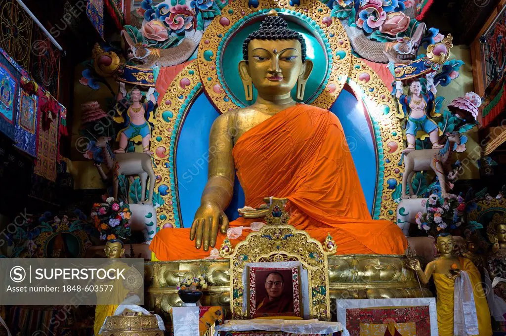 Eight metre tall Sakyamuni Buddha statue in the Galden Namgyal Lhatse monastery, the largest Buddhist monastery in India, Tawang, Arunachal Pradesh, I...