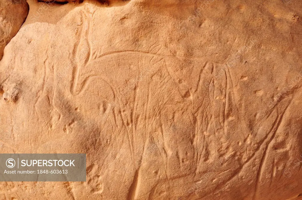 Antelope engraving, neolithic rock art of the Tadrart, Tassili n'Ajjer National Park, Unesco World Heritage Site, Algeria, Sahara, North Africa