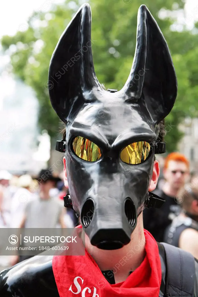Man wearing a rubber mask, Petplay, BDSM, Christopher Street Day, Cologne, North Rhine-Westphalia, Germany, Europe