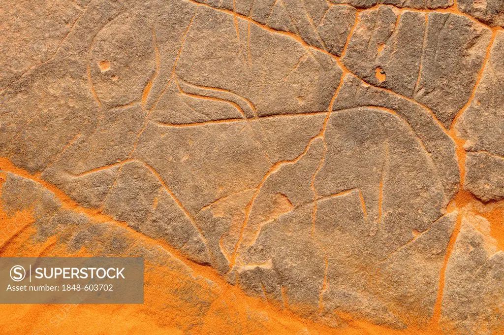 Rock engraving of an antelope, neolithic rock art in the Tadrart, Tassili n'Ajjer National Park, Unesco World Heritage Site, Algeria, Sahara, North Af...