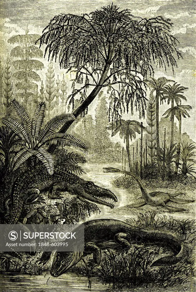 Capitosaurs, Belodons, Nothosaurs, historical illustration, 1886