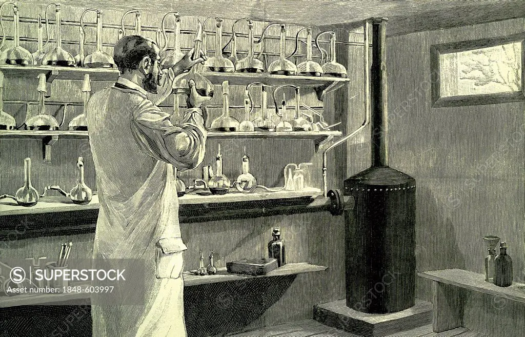 Pharmacist, anti-diphtheria serum, historic illustration, 1882