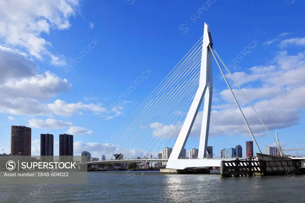 Erasmus Bridge, a cable-stayed bridge, panorama in front of the skyline of Rotterdam, Holland, Netherlands, Europe