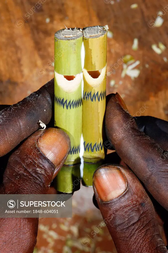 Production of bamboo pipes, Bafut, Cameroon, Africa