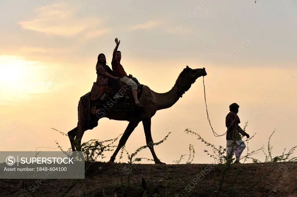 Camel ride, Kalakho, Rajasthan, North India, India, South Asia, Asia