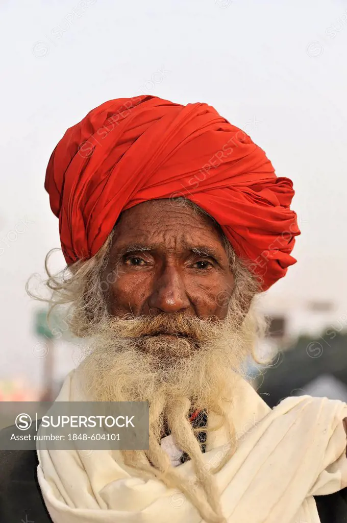 Sadhu or holy man, Agra, Uttar Pradesh, North India, India, Asia