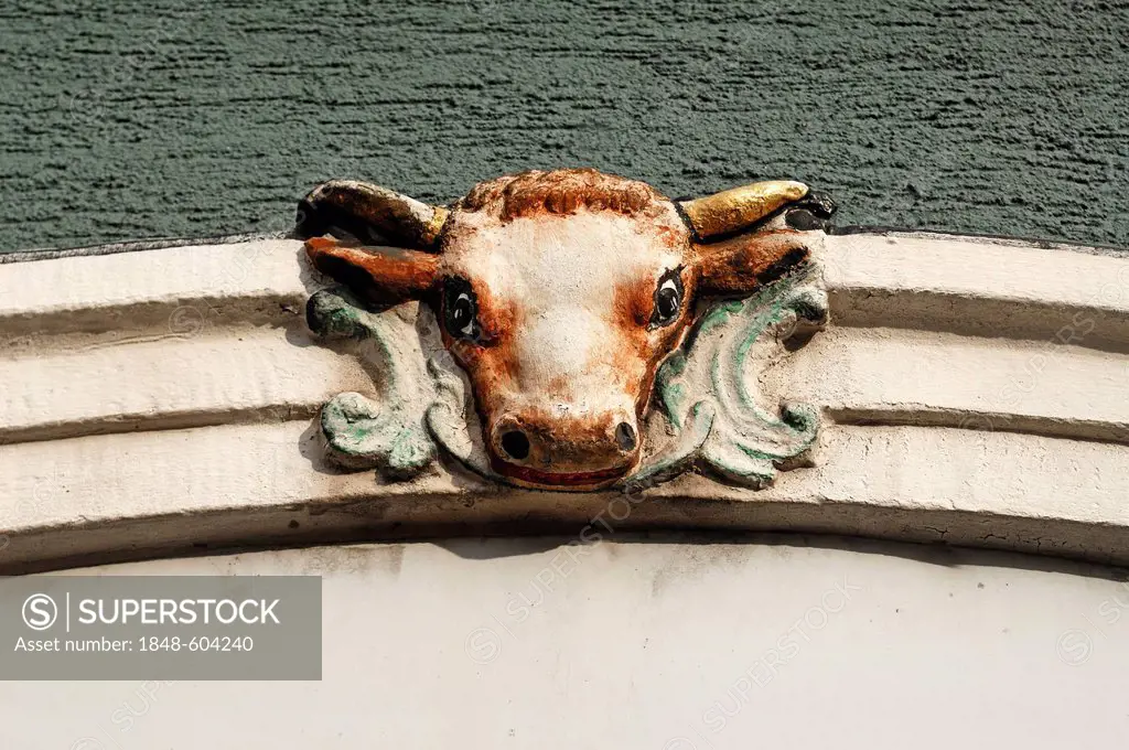 Cow's head above the entrance of a former butchery of 1762, Hauptstrasse street, Herbolzheim, Baden-Wuerttemberg, Germany, Europe