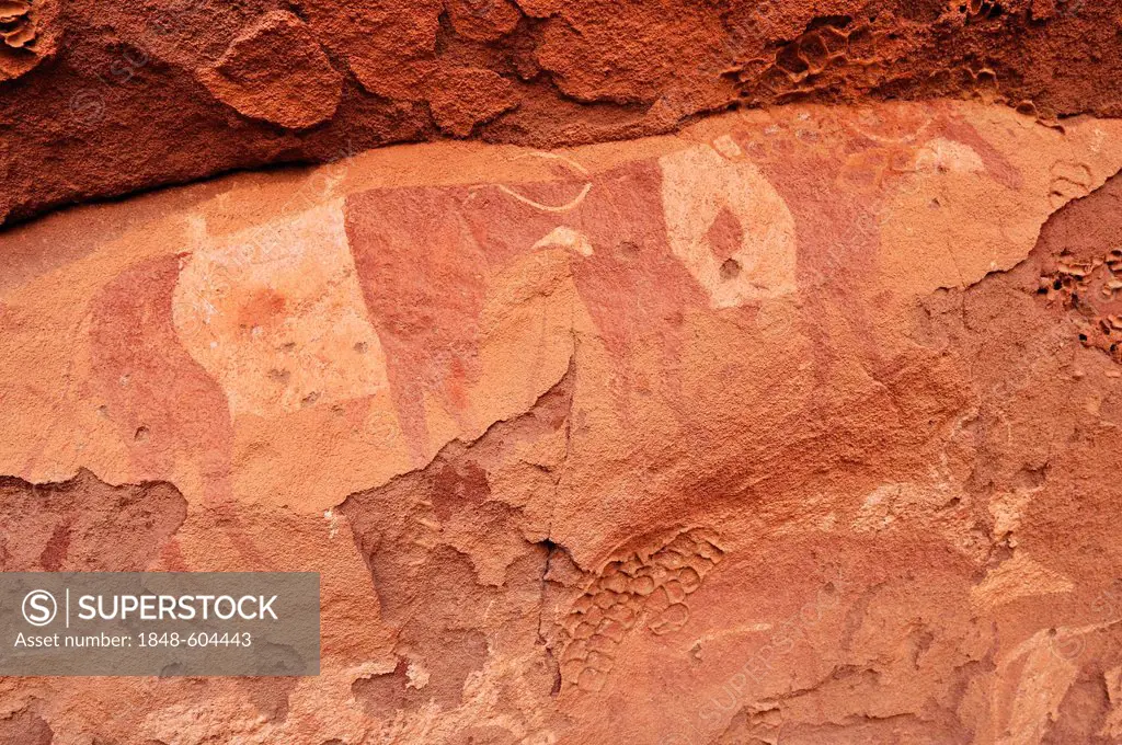 Painted cow, neolithic rockart of the Acacus Mountains or Tadrart Acacus range, Tassili n'Ajjer National Park, Unesco World Heritage Site, Algeria, Sa...