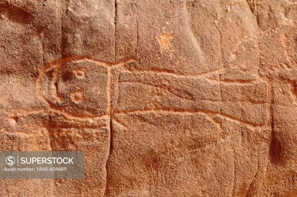 Fish engraving, neolithic rockart of the Acacus Mountains or Tadrart Acacus range, Tassili n'Ajjer National Park, Unesco World Heritage Site, Algeria,...