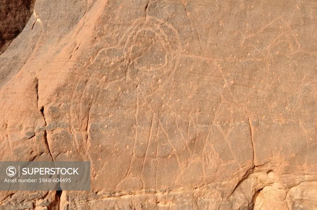 Elephant engraving, neolithic rockart of the Acacus Mountains or Tadrart Acacus range, Tassili n'Ajjer National Park, Unesco World Heritage Site, Alge...