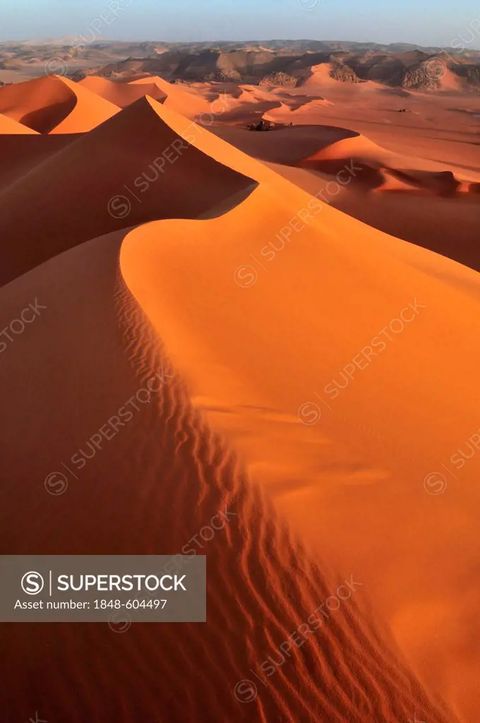 Red sanddune at Tin Merzouga, Acacus Mountains or Tadrart Acacus range, Tassili n'Ajjer National Park, Unesco World Heritage Site, Algeria, Sahara, No...