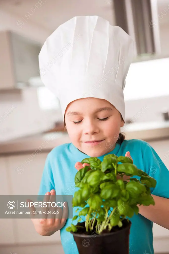 Little girl with chef's hat smelling a pot of basil