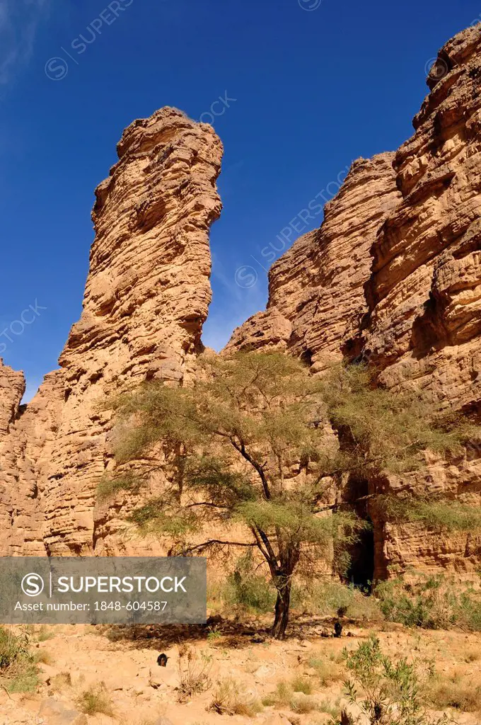 Rock formation at Wadi Essendilene, Tassili n'Ajjer National Park, Unesco World Heritage Site, Wilaya Illizi, Algeria, Sahara, North Africa
