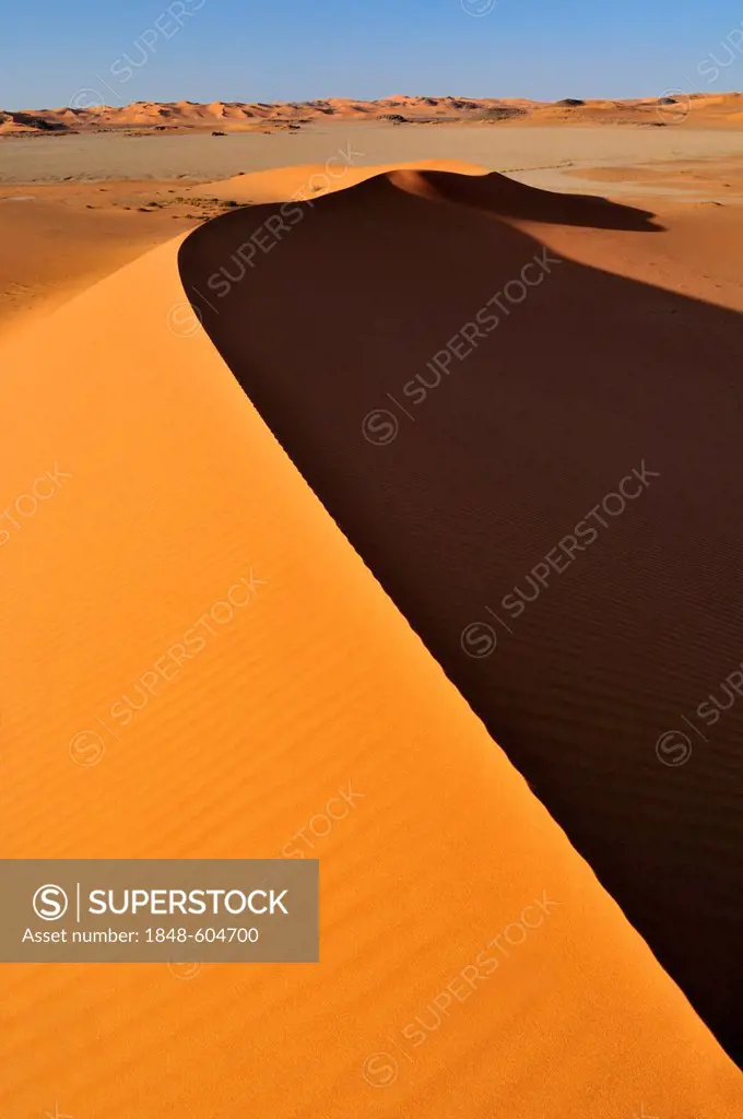 Sand dunes of In Tehak, Tadrart, Tassili n'Ajjer National Park, Unesco World Heritage Site, Algeria, Sahara, North Africa